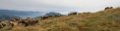 107_ - panorama